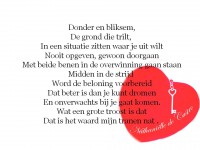 /album/fotogalerij-nieuwste-gedichten/donder-en-bliksem-jpg/